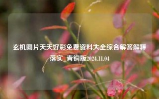 玄机图片天天好彩免费资料大全综合解答解释落实_青铜版2024.11.04