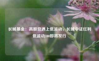 长城基金：高股息遇上低波动，长城中证红利低波动100即将发行