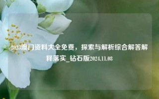 2023澳门资料大全免费，探索与解析综合解答解释落实_钻石版2024.11.08