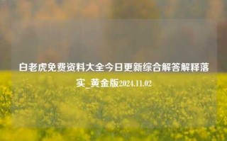 白老虎免费资料大全今日更新综合解答解释落实_黄金版2024.11.02