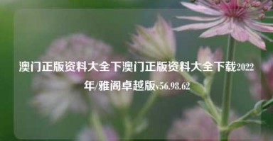 澳门正版资料大全下澳门正版资料大全下载2022年/雅阁卓越版v56.98.62