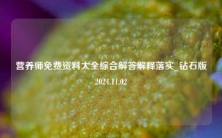 营养师免费资料大全综合解答解释落实_钻石版2024.11.02