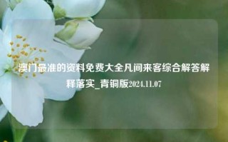 澳门最准的资料免费大全凡间来客综合解答解释落实_青铜版2024.11.07