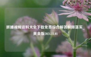 抓捕视频资料大全下载免费综合解答解释落实_黄金版2024.11.01