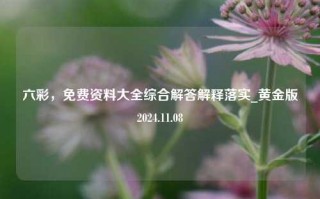 六彩，免费资料大全综合解答解释落实_黄金版2024.11.08