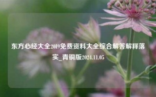 东方心经大全20I9免费资料大全综合解答解释落实_青铜版2024.11.05