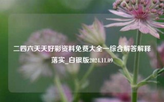 二四六天天好彩资料免费大全一综合解答解释落实_白银版2024.11.09