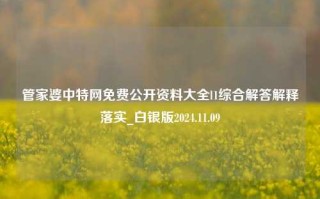 管家婆中特网免费公开资料大全l1综合解答解释落实_白银版2024.11.09