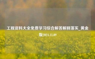 工程资料大全免费学习综合解答解释落实_黄金版2024.11.09