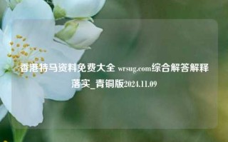 香港特马资料免费大全 wrsug.com综合解答解释落实_青铜版2024.11.09