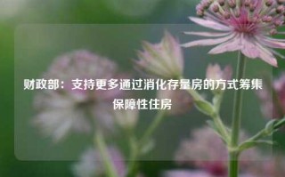 财政部：支持更多通过消化存量房的方式筹集保障性住房