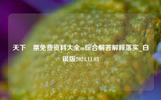 天下釆票免费资料大全m综合解答解释落实_白银版2024.11.03