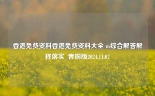 香港免费资料香港免费资料大全 m综合解答解释落实_青铜版2024.11.07