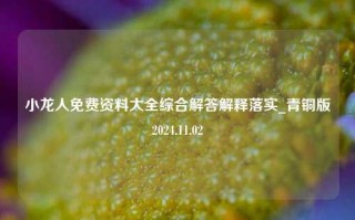 小龙人免费资料大全综合解答解释落实_青铜版2024.11.02