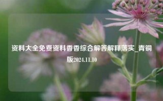 资料大全免费资料香香综合解答解释落实_青铜版2024.11.10