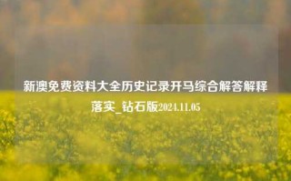 新澳免费资料大全历史记录开马综合解答解释落实_钻石版2024.11.05