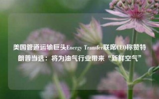 美国管道运输巨头Energy Transfer联席CEO称赞特朗普当选：将为油气行业带来“新鲜空气”