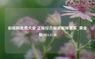 彩资料免费大全 正版综合解答解释落实_黄金版2024.11.10