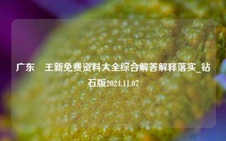 广东賭王新免费资料大全综合解答解释落实_钻石版2024.11.07