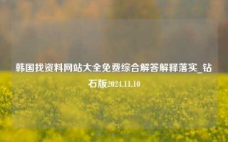 韩国找资料网站大全免费综合解答解释落实_钻石版2024.11.10