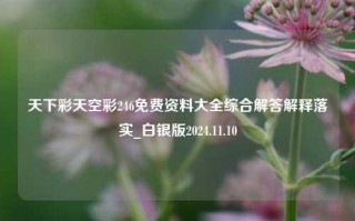 天下彩天空彩246免费资料大全综合解答解释落实_白银版2024.11.10