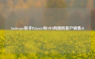 Anthropic联手Palantir和AWS向国防客户销售AI