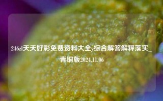 246zl天天好彩免费资料大全y综合解答解释落实_青铜版2024.11.06