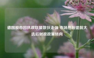 德国股市因执政联盟散伙走强 市场热盼提前大选后财政政策转向