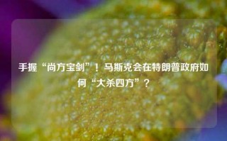 手握“尚方宝剑”！马斯克会在特朗普政府如何“大杀四方”？