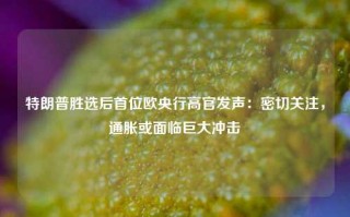 特朗普胜选后首位欧央行高官发声：密切关注，通胀或面临巨大冲击