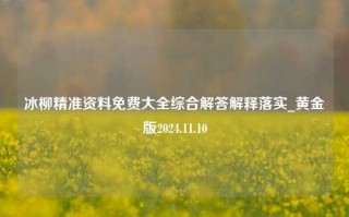 冰柳精准资料免费大全综合解答解释落实_黄金版2024.11.10