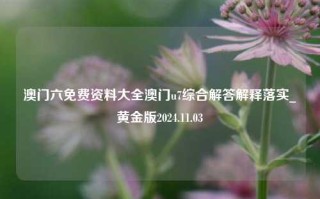 澳门六免费资料大全澳门u7综合解答解释落实_黄金版2024.11.03