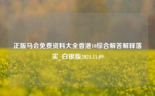 正版马会免费资料大全香港10综合解答解释落实_白银版2024.11.09