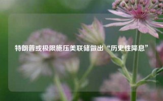 特朗普或极限施压美联储做出“历史性降息”