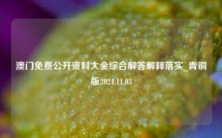 澳门免费公开资料大全综合解答解释落实_青铜版2024.11.03