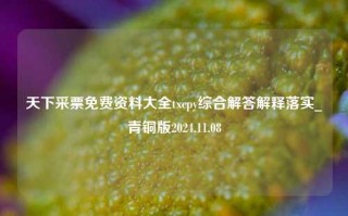 天下采票免费资料大全txcpy综合解答解释落实_青铜版2024.11.08