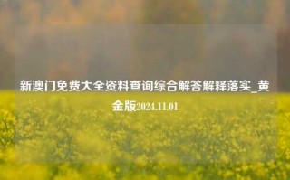 新澳门免费大全资料查询综合解答解释落实_黄金版2024.11.01