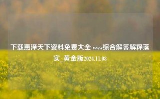 下载惠泽天下资料免费大全 www综合解答解释落实_黄金版2024.11.08