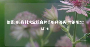 免费24码资料大全综合解答解释落实_青铜版2024.11.04