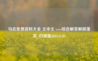 马会免费资料大全 王中王 www综合解答解释落实_白银版2024.11.01