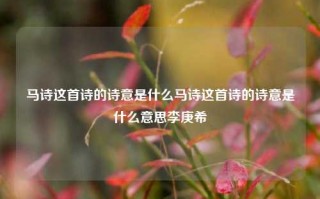 马诗这首诗的诗意是什么马诗这首诗的诗意是什么意思李庚希