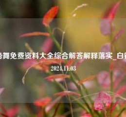 手势舞免费资料大全综合解答解释落实_白银版2024.11.03