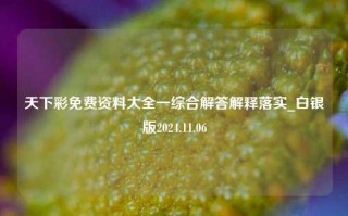 天下彩免费资料大全一综合解答解释落实_白银版2024.11.06