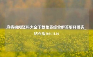 麻将视频资料大全下载免费综合解答解释落实_钻石版2024.11.06