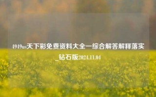 4949us天下彩免费资料大全一综合解答解释落实_钻石版2024.11.04