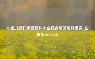 小鱼儿澳门免费资料大全综合解答解释落实_白银版2024.11.08