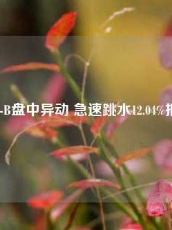 凯利服务-B盘中异动 急速跳水12.04%报16.36美元