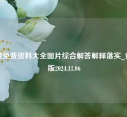 权威免费资料大全图片综合解答解释落实_黄金版2024.11.06