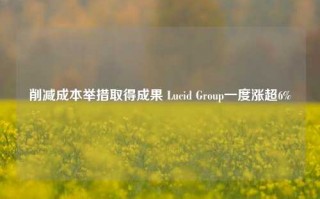 削减成本举措取得成果 Lucid Group一度涨超6%