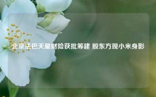 北京法巴天星财险获批筹建 股东方现小米身影